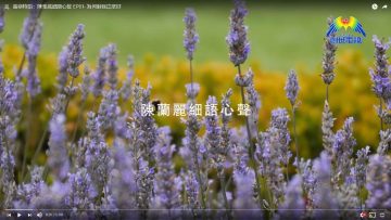 陳蘭麗細語心聲