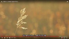 照顧自己的練習