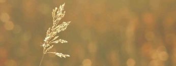 照顧自己的練習