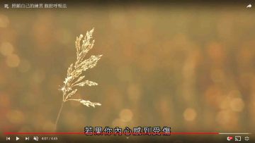 照顧自己的練習