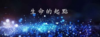 生命的起點