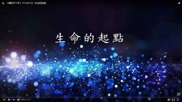 生命的起點