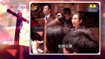 愛在疫症蔓延時#17 疫症下的預苦期信息