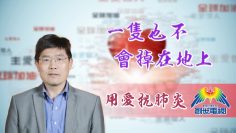 「用愛抗肺炎」#41 熊潤榮博士:一隻也不會掉在地上
