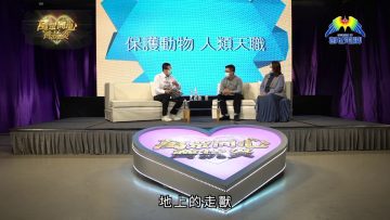 疫症引發棄養潮！人類是天賦的動物管家？！