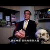 基督受難的恐怖醫學︰釘十架劇痛瞬間傳到腦部！(陳思堂醫生)
