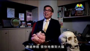 基督受難的恐怖醫學︰釘十架劇痛瞬間傳到腦部！(陳思堂醫生)