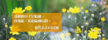 《靈情日記 – 舊約》- 第1013集﹕一生侍奉上帝