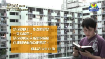 《靈情日記 – 舊約》- 第161集 : 小心處理心底的罪