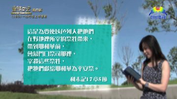 《靈情日記 – 舊約》- 第163集 : 一心行在上帝面前