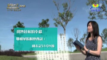 《靈情日記 – 舊約》- 第175集 ﹕ 記念上帝