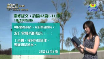 《靈情日記 – 舊約》- 第187集 : 渴慕上帝 看見出路