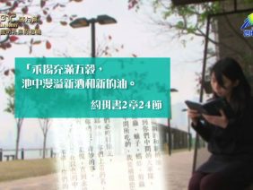 《靈情日記 – 舊約》- 第244集 : 提防外來的危機
