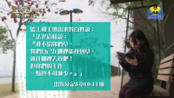 《靈情日記 – 舊約》- 第262集 :  讓上帝作工