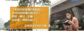 《靈情日記 – 舊約》- 第278集 : 十誡的意義