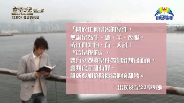 《靈情日記 – 舊約》- 第280集 : 犯罪的代價