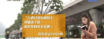 《靈情日記 – 舊約》- 第281集 : 建立誠信