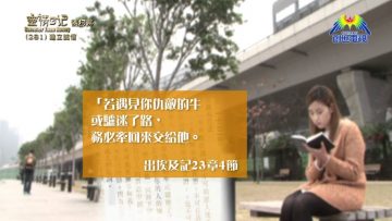 《靈情日記 – 舊約》- 第281集 : 建立誠信