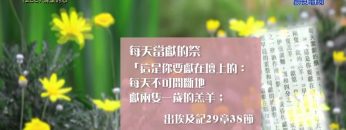 《靈情日記 – 舊約》- 第288集 : 清潔的心