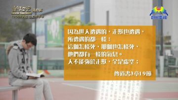 《靈情日記 – 舊約》- 第308集 : 人生在上帝手中