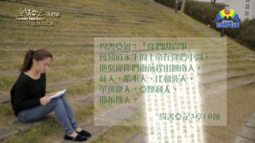 《靈情日記 – 舊約》- 第319集 : 走信心之路