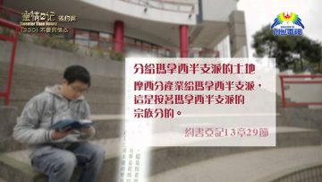 《靈情日記 – 舊約》- 第330集 : 不變的信心