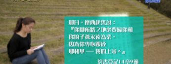 《靈情日記 – 舊約》- 第331集 : 專一跟從上帝