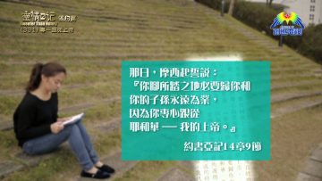 《靈情日記 – 舊約》- 第331集 : 專一跟從上帝