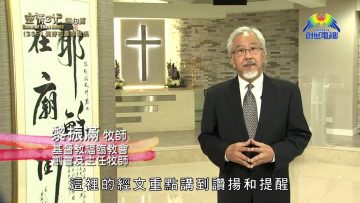 《靈情日記 – 舊約》- 第339集 : 美好的團隊關係