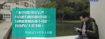 《靈情日記 – 舊約》- 第358集 : 避免令人跌倒的事