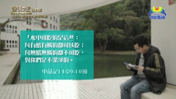 《靈情日記 – 舊約》- 第358集 : 避免令人跌倒的事