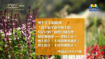 《靈情日記 – 舊約》- 第359集 : 仁厚憐憫的心