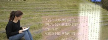 《靈情日記 – 舊約》- 第363集 : 以憐憫之心待人