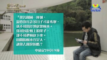 《靈情日記 – 舊約》- 第364集 : 有情有理