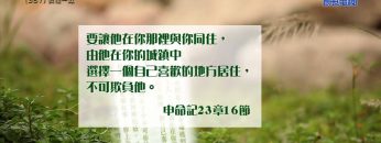 《靈情日記 – 舊約》- 第367集 : 表裡一致