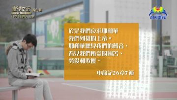 《靈情日記 – 舊約》- 第371集 : 與人分享