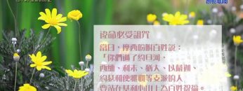 《靈情日記 – 舊約》- 第372集 : 生命的印記