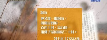 《靈情日記- 舊約》- 第392集 ﹕ 侍奉的心志和技巧