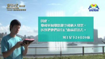 《靈情日記 – 舊約》- 第442集 :面對困難要忍耐