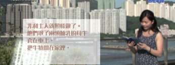 《靈情日記 – 舊約》- 第449集﹕求上帝指引