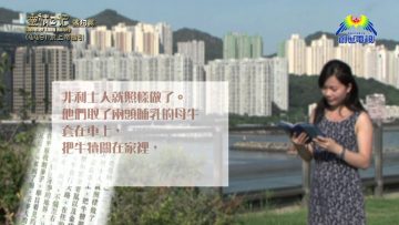 《靈情日記 – 舊約》- 第449集﹕求上帝指引