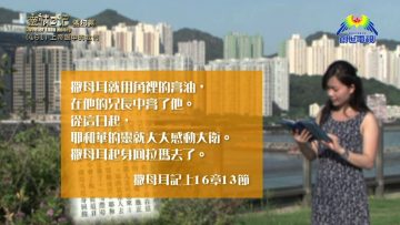 《靈情日記 – 舊約》- 第461集﹕上帝眼中的我們