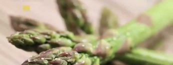 《靈情日記 – 舊約》- 第485集﹕彼此降服的關係