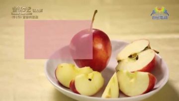 《靈情日記 – 舊約》- 第510集﹕言語的激勵