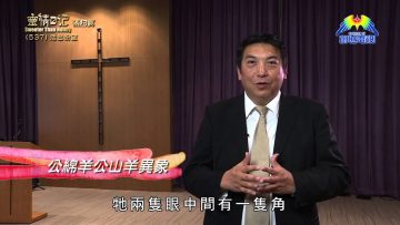 《靈情日記 – 舊約》- 第537集﹕活出盼望