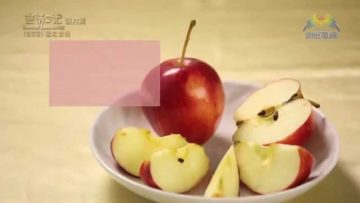 《靈情日記 – 舊約》- 第552集﹕愛之責備