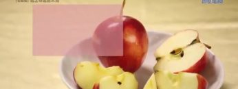 《靈情日記 – 舊約》- 第588集﹕為上帝敢於不同