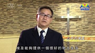 《靈情日記 – 舊約》- 第593集﹕接受上帝的安排