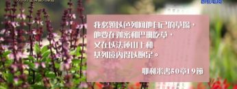 《靈情日記 – 舊約》- 第600集﹕上帝願人得救