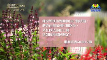《靈情日記 – 舊約》- 第600集﹕上帝願人得救